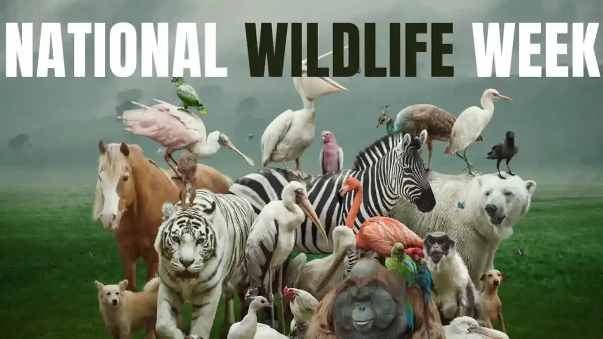Wildlife Week 2026 Begins: Why India Observes October 2 to 8 for Conservation