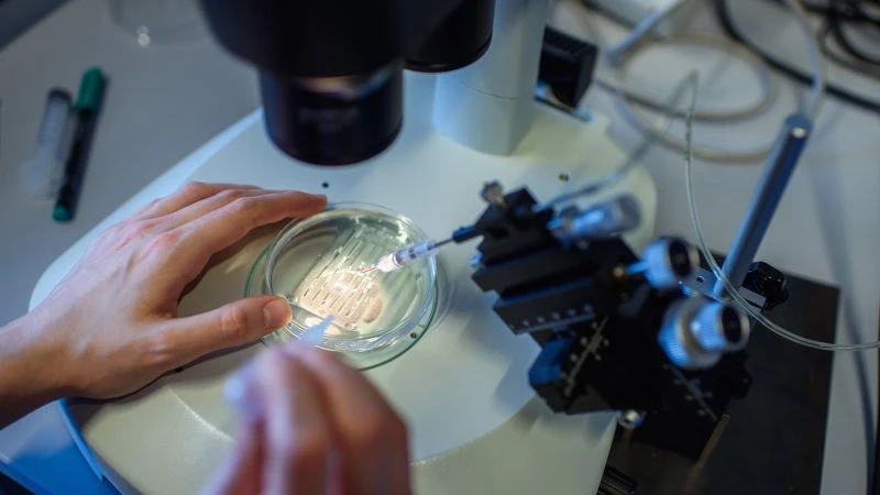 CRISPR Gene Editing in 2026: Medical Breakthroughs and Ethical Debates