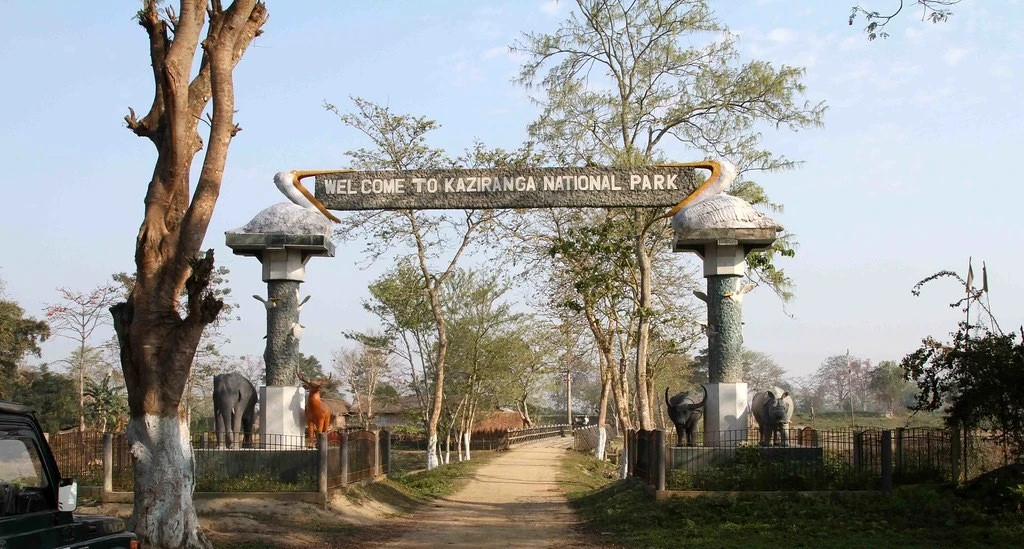 Kaziranga National Park: Rhinos, Tigers, Safari Guide and 2026-27 Season Update
