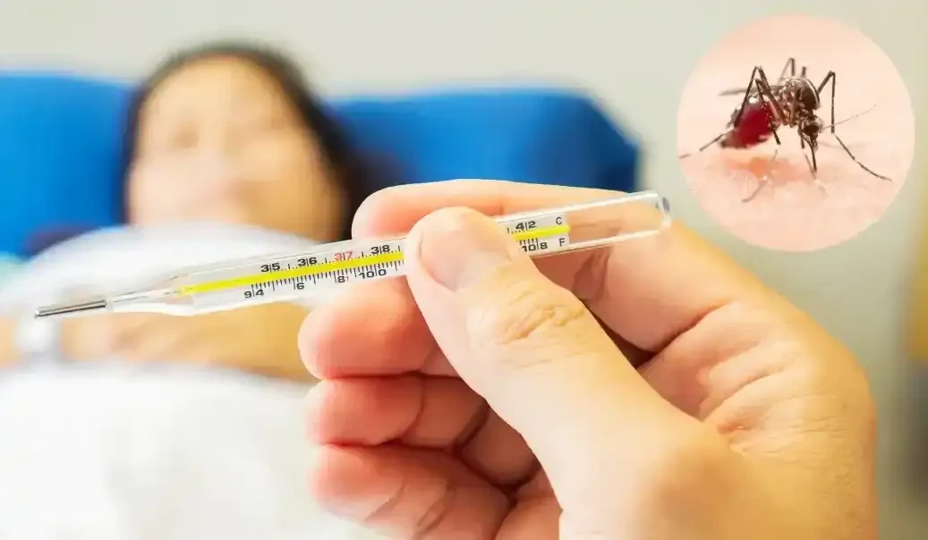 Dengue Fever Explained: Symptoms, Causes, Precautions & Treatment — Your Complete 2026 Guide