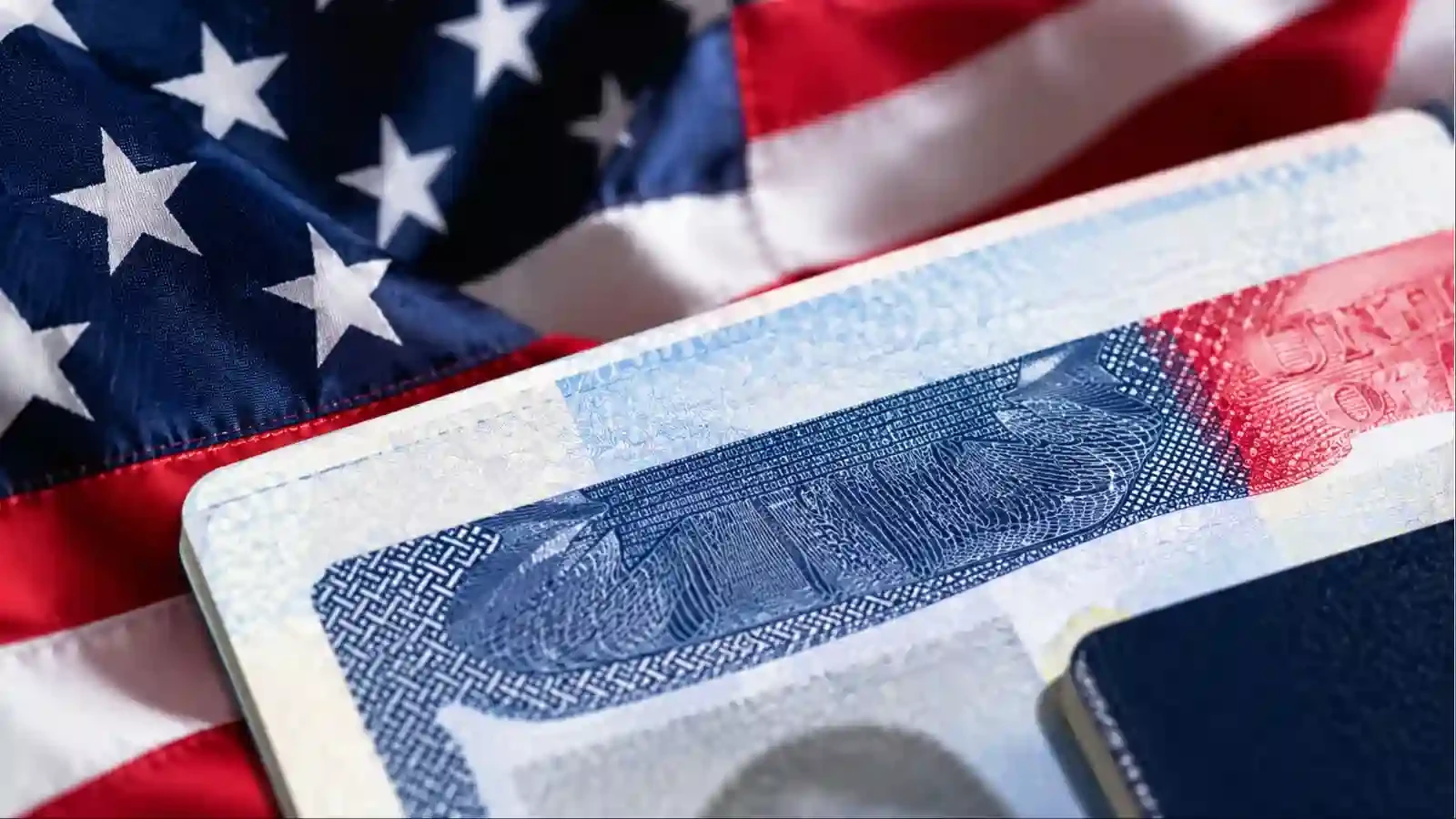 US Immigration Crackdown Intensifies: Senate Targets Birth Tourism as 250,000 Visas Are Revoked