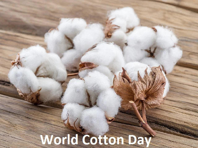World Cotton Day 2026: Why the Fibre Matters to India's Farmers and the New Mission for Cotton Productivity