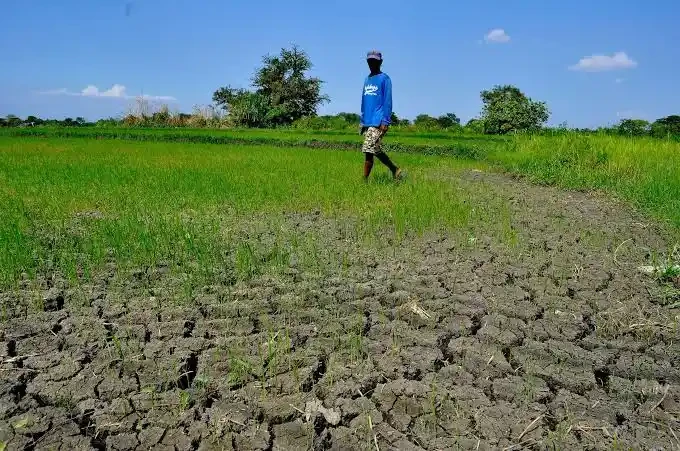 Super El Niño Philippines 2026-27: Drought, Extreme Heat and Food Supply Risks Explained