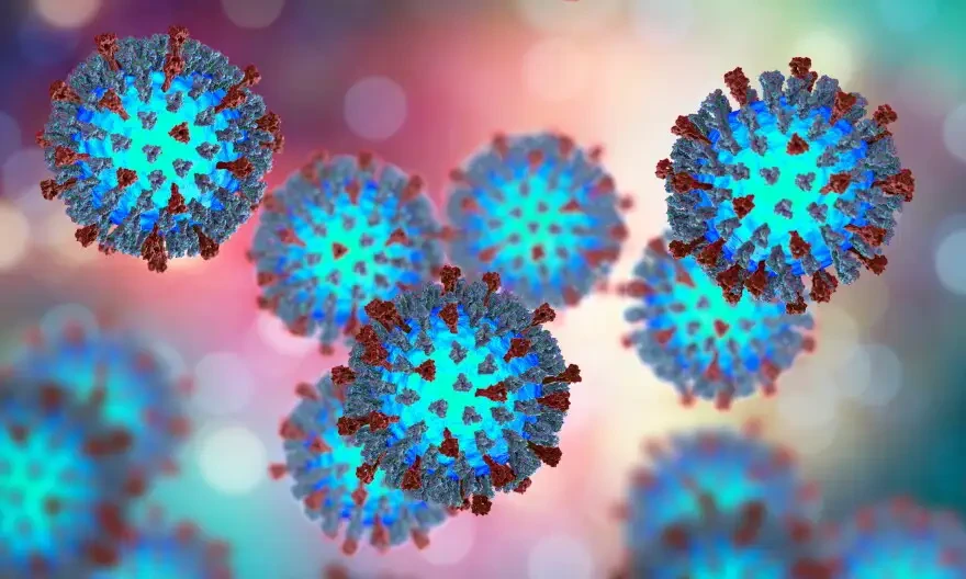 Measles Cases Rise in Wisconsin as Philadelphia Airport Exposure Warning Raises Concern