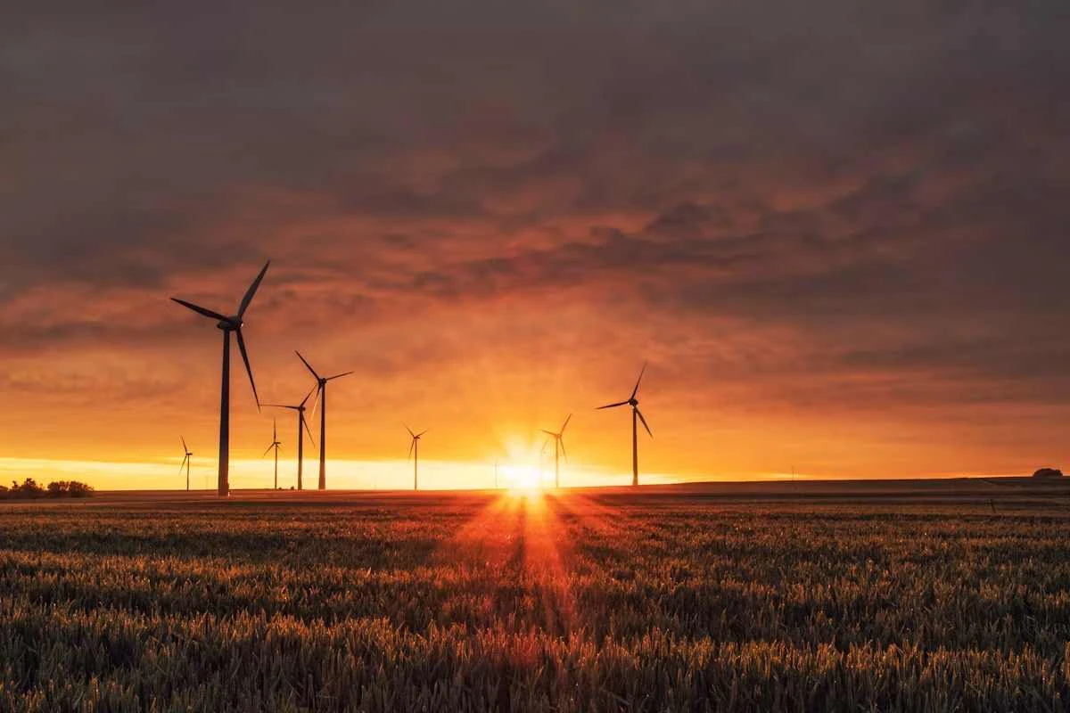 Renewables Overtake Coal in Global Electricity for the First Time: What the 2026 Data Shows